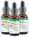 Morter Trace Minerals in Colloidal Suspension (3 Pack) Morter HealthSystem Najboljši proces Alkaline — Nutrient Dens Trace Elements, Fulvic Minerals & Aminokisline