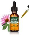 Herb Pharm Certified Organic Golden Echinacea Tekoči ekstrakt za podporo imunskega sistema - 1 Ounce (DGOLDEN01)