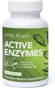 Vitalni načrt Aktivne encime Dodatek Dr. Bill Rawls - Prebavne encime za Gut zdravje & Prebava - Proteaza, Bromelain, Laktaza, Amylase & Lipaza (120 kapsul)