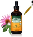 Herb Pharm Certified Organic Golden Echinacea Tekoči ekstrakt za podporo imunskega sistema - 4 Ounce
