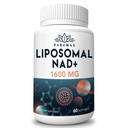 1600 mg liposomal NAD dodatek, 98% Pure NAD+ dodatek, Superior Absorpcija, alternativa nikotinamida ribozid ali NADH za povečanje NAD+ za staranje obrambo, energijo, dolgo življenjsko dobo,60 Softgels