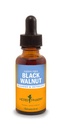 Herb Pharm Black Walnut Tekoči ekstrakt za čiščenje in razstrupljanje - 1 Ounce