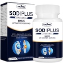 Superoksid dismutaza dodatek 500mg - SOD Plus z liposomskim glutationom, AKG, ekstraktom zelenega čaja, L-argininom, lizinom, resveratrolom in vitaminom E za imuno podporo, antioksidant 60 kapsul