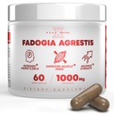 Fadogia Agrestis 1000mg na servisni dodatek - močan ekstrakt za povečanje energije, atletske zmogljivosti in mišične mase - dopolnila, Izdelano v ZDA (60 kapsul)