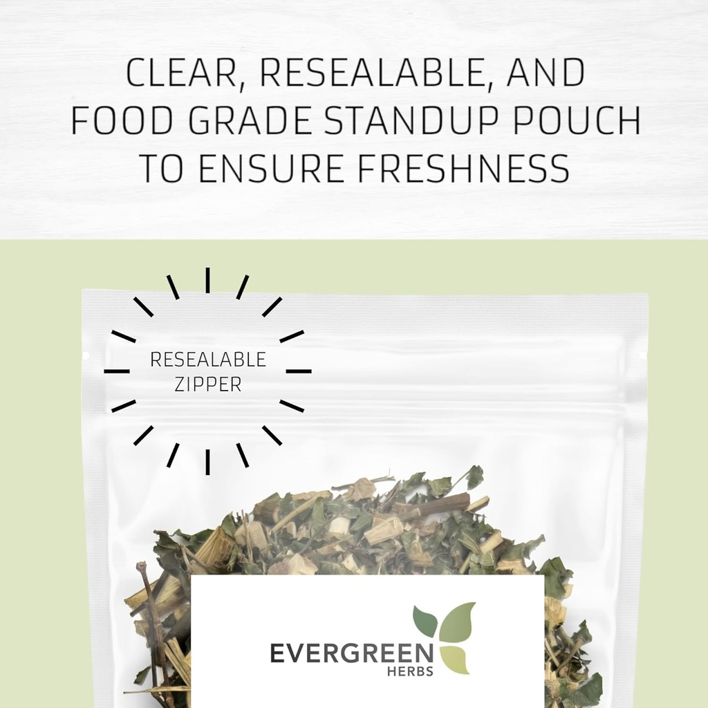 Zimzelena zelišča Cuachalate Herb (Amphipetyglum Adstringens) - Reseable Stand Up Pouch zagotoviti svežino! (Tea Bags)