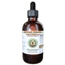 Chlorella Alkohol-free Liquid Extract, Chlorella (Chlorella vulgaris) Entire Rastlina, sušeni Glicerit Havaji Pharm Natural Zeliščni dodatek 2 oz