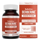 SoActive Berberine 550mg: 9.6X Višja absorpcija, klinično raziskano, Optimizirano fitosome 