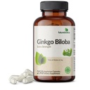 Futurebiotics Ginkgo Biloba Dodatna moč podpira možganske funkcije in spomin podporo, 250 vegetarijanske kapsule