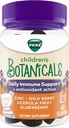 Vicks Children's Botanicals Daily Immune Support* + Antioksidant Action, Gumies, Izdelano z cinkom, Goji Berry, Acerola Fruit, in Elderberry, 60 ct