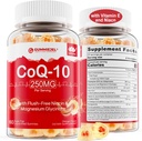 CoQ10 brez sladkorja Polnjeni gumiji 250MG, koencim Q10 w/magnezijev glicinat, niacin brez fluš vitamin B3, E in folna kislina, visoka absorpcija CoQ10 za HEA-rt, celično energijo in antioksidant