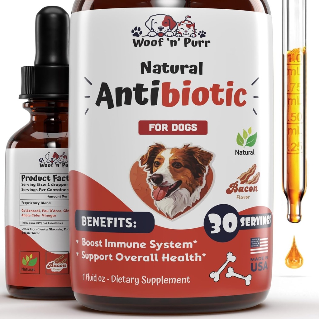 Dog Antibiotiki za okužbo, kašelj, UTI, alergije, Srbenje 