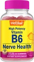 WellYease High Potency Vitamin B6 Gumies - spodbuja živčno zdravje, kognitivne funkcije, Mood Regulation, Imunska podpora, in kardiovaskularno zdravje - Vegan, Non-GMO, Gluten-free - 60 Count
