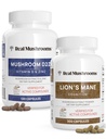 Vitamin D2, cink, Chaga, Reishi (120ct) in levja griva (300ct) – imuniteta in kognitivna podpora, kelirani cink za izboljšano absorpcijo - Vegan, brez glutena, ne-GMO