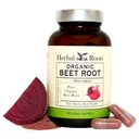 Zeliščne korenine Organska pesa Root Powder Kapsule - 1.500mg na serviranje - Certified USDA Organic - Non-GMO - 60 Count Veganske kapsule