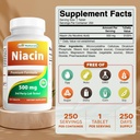 Best Naturals Niacin 500mg 250 tablet z zardevanjem - imenuje tudi vitamin B3 (250 Število (Pack of 2))