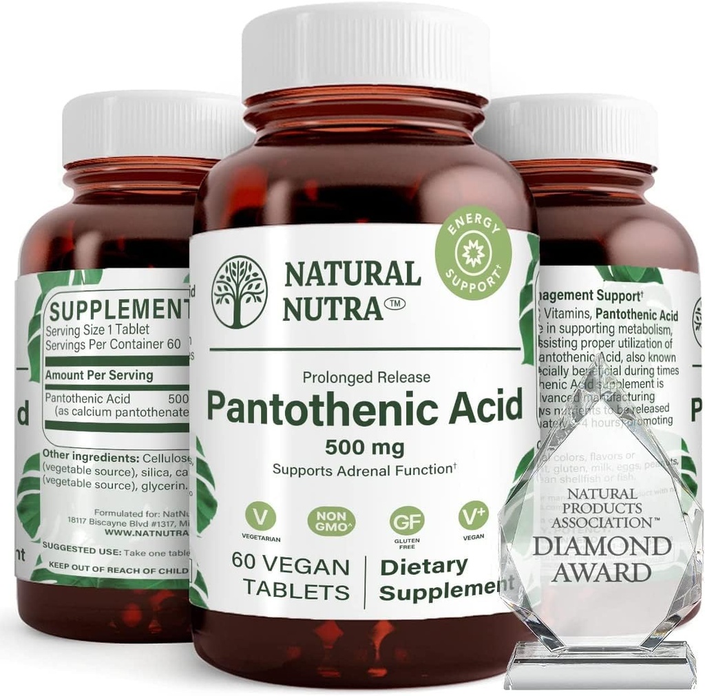 Natural Nutra čas release Pantotenska kislina 500 mg, Vitamin B5 dodatek pomaga razgraditi maščobe in ogljikovih hidratov, Presnova in energija, Izboljšati zdravje mišic, 60 Vegetarian tablete (3 pakiranje)