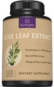 Premium Olive Leaf Extract kapsule – standardizirano na 20% Oleuropein – Super Jakost Olive Leaf Natančno dopolnilo Podpira Imunski sistem in kardiovaskularno zdravje – 750mg na kapsulo – 120 kapsul