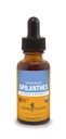 Herb Pharm Certified Organic Spilanthes Tekoči ekstrakt za čiščenje in razstrupljanje - 1 Ounce