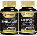 WELLNESS LABSRX Lions Mane Dodatne kapsule s Shilajit Himalajskimi kapsulami 