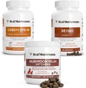 Prave gobe Reishi & Cordyceps za ljudi & Gobe Pet Relax Chews - paket za sprostitev, energijo in imuniteto - Vegan, Non-GMO, Gluten-free, Grain-free gobe extract dodatki