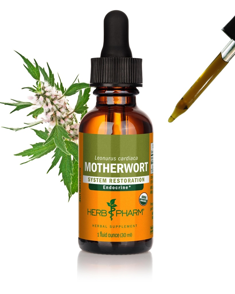 Herb Pharm Certified Organic Matherwort Liquid Extract za podporo endokrine sistema - 1 Ounce