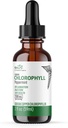 Nature's Fusions Nutri Tekoči klorofil Peppermint 100mg - Notranji deodorant & razstrupljanje - Tekoči kapljice - 2 fl oz (59 Servings, 100mg na Serving) - Klorofila Liquida