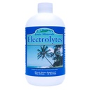 Eidon elektroliti - tekoče elektrolitske kapljice, jonski mineral dodatek za dodajanje v vodo, Replenizacija in ravnotežje Elektrolitski equilibrij, Hidracija podpora, Nesladkan sladkor brez - 18 oz