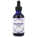 Notranja vitalnost, koncentrat, fulvični/humični minerali, 2 fl oz