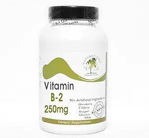 B-2 Vitamin 250mg ~ 100 Kapsula - brez dodatkov ~ Naturetition dopolnila