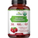 Zazzee USDA Organska brusnica 25:1 Ekstrakt, 500 mg na kapsulo, 100 veganskih kapsul, več kot 3 mesece zaloga, standardizirano, koncentriran 25X ekstrakt, 100% vegetarijansko, Certified Organic, Non-GMO vse-naravni