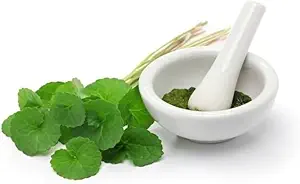 (paket z 2) Organski Centella Asiatica Powder (50g)