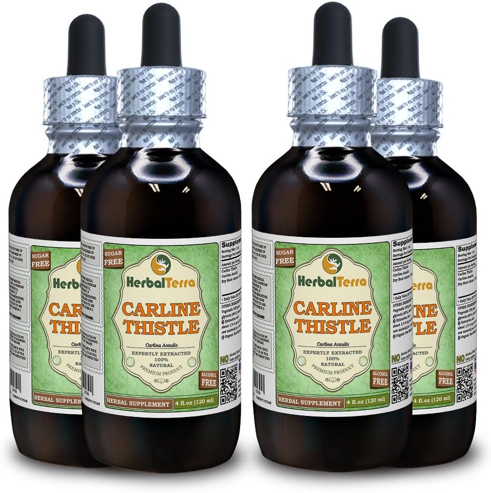 Carline Thistle (Carlina acaulis) glicerit, posušene korenine brez alkohola tekoči ekstrakt (Brand Name: HerbalTerra, Proudly Made in USA) 4x4 fl.oz (4x120 ml)