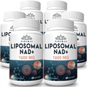 1600 mg liposomski NAD dodatek, 98% Pure NAD+ dodatek, superior Absorpcija, alternativa nikotinamida ribozid ali NADH za povečanje NAD+ za staranje obrambo, energijo, dolgo življenjsko dobo, 360 Softgels