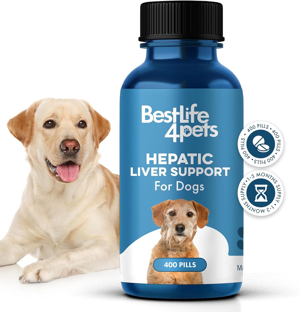 Hepatic Liver Support for Dogs, Dissolvable Homeopathic Digestive Canine Supplement for Liver Detox and Nutrient Absorption, 100% All Natural, Easy to Give, Free of Chemicals or Additives, 400 Pills