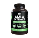PURE POREKLA SESTAVINE Amla Extract (365 kapsul) Brez magnezija ali riževih polnil, vedno čista, laboratorij preverjen
