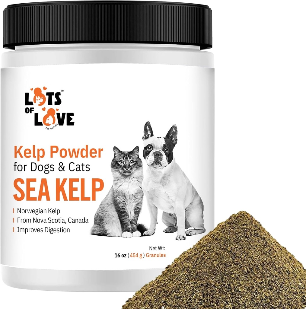 Kelp prašek za pse in mačke - organski morski Kelp dodatek zrnca v prahu (16 Oz, 1 funt)