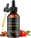 Liposomske Berberinske kapljice Dodatek 3000mg - Visoka absorpcija AMPK Activator, Organski Berberine HCl kompleks s Ceylon Cinamon & Ginger za imuno in prebavo (2 fl oz)