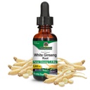Narava odgovor beli ginseng korenski alkohol prost 1 Fluid Ounce 