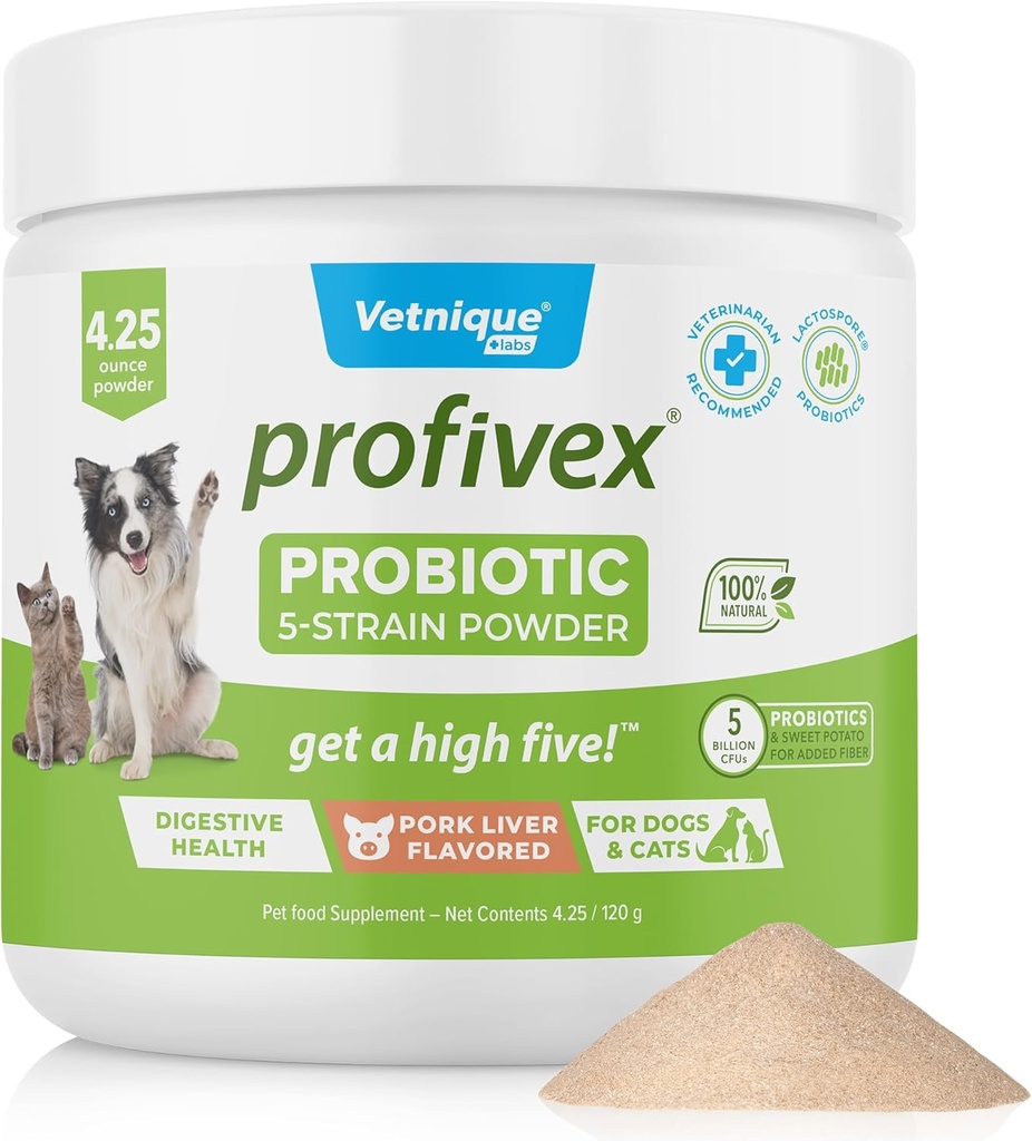 Vetnique Labs Profivex Probiotiki za pse Vsi naravni pasji žveči & prašek za prebavni zdravje Probiotične dodatke za pse 5 Sevi probiotikov in prebiotikov (Powder, 4,25oz)