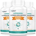 Orgabay Liposomal NAD+ Dodatek 500 mg, visoka absorpcija, povečanje NAD+ s TMG 250 mg, dejanska NAD Plus bolj učinkovito kot nikotinamid ribozid, podpora celična energija, zdravo staranje 