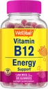 WellYeah Vitamin B12 1000mcg Gummies - za energijo, razpoloženje, metabolizem in imunski sistem podpora - Vegansko prijazno in gluten-free, GSO brez in zdravnik priporoča - 60 Gummies