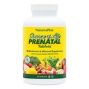 Nature Plus Vir življenja Prednatal - 800 μg Folat, 90 Vegetarijanske tablete - Vse naravne Prenatal Vitamin & Minerali z železom in kalcij - Optimalno zdravje in energija - Gluten-free - 45 Serving