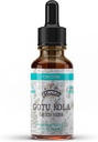 Gotu Kola Tincture, Organski Gotu Kola Extract, Gotu Kola Kapljice (Centella Asiatica) Posušen zelišče