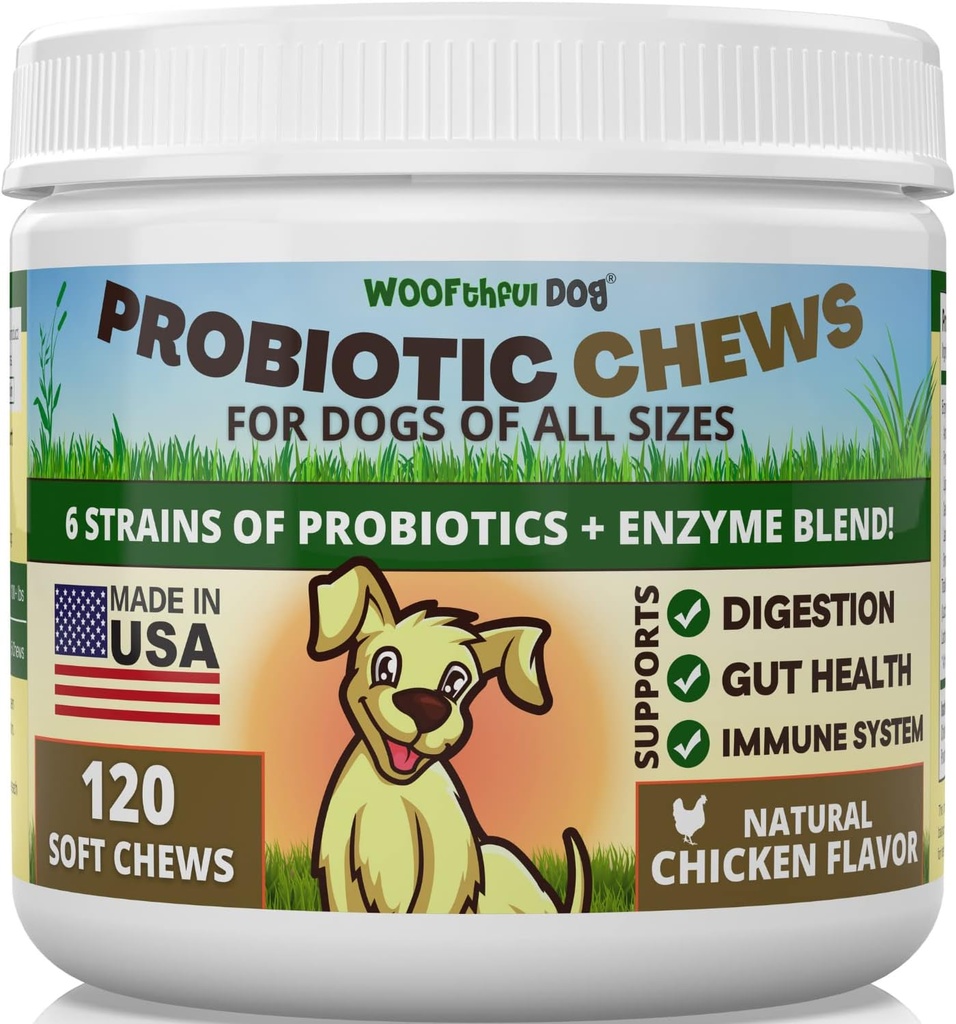Probiotiki za pse - Prebavno zdravje, Gut Flora, Podpora za telo, Podpora imunskega sistema - Soft Chews dodatek za pse 120 ct, Made in ZDA