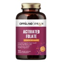 Aktiviran Folat-L 5-MTHF DFE dodatek - metilfolat B9 MTHF z vitaminom B12, CoQ10, & rdeča malina - metiliran L-metilfolat za moške in ženske - 500 μg - 90 Veggie kapsule