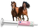 Konjski probiotiki (80cc), konjska pasta Pre in probiotiki +vitamini in minerali- 4 sevi in 8 milijard CFU na servacijsko-imunsko in Gastro zdravstveno podporo za equine