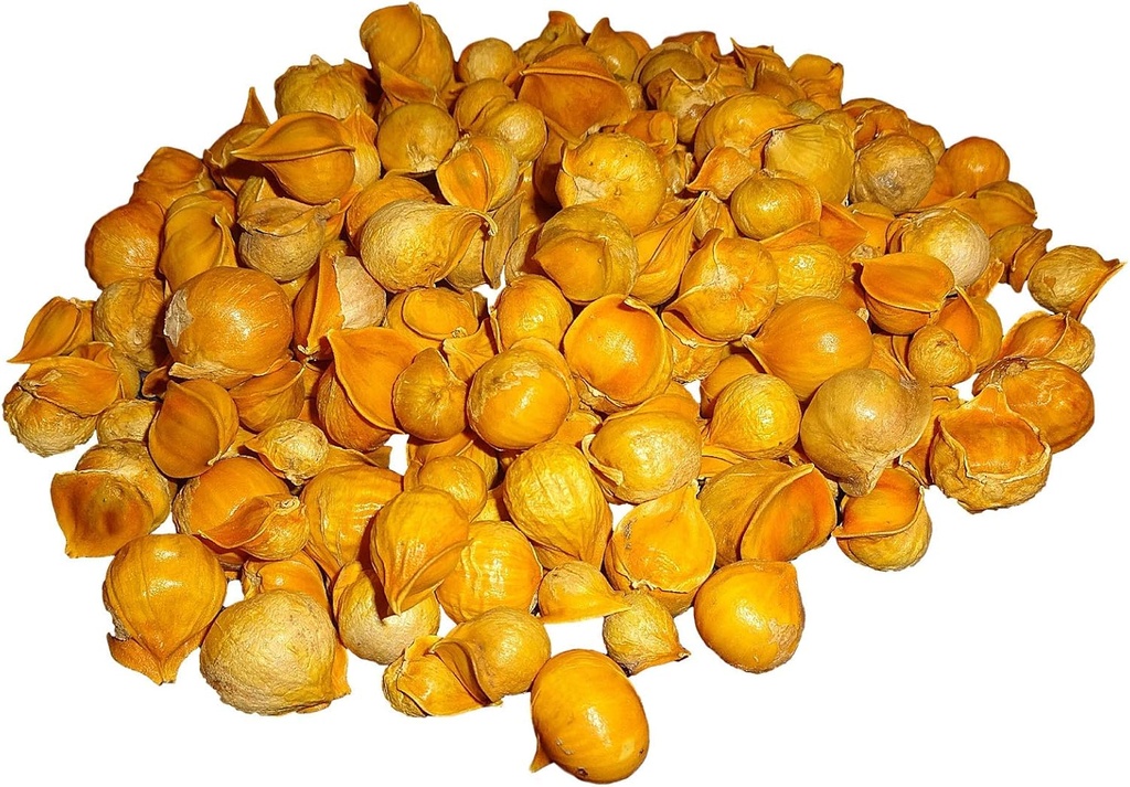 Japonski česen//AJO Japoni (100% naravno!!) Različne uteži: (1 Lb, 5 Lbs in 10 Lbs) (5 Lbs)
