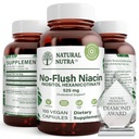 Naravna nutra št Flush Niacin, vitamin B3 dodatek, pomaga izboljšati kardiovaskularno zdravje, pomaga izboljšati teksturo kože, spodbuja boljše možganske funkcije, pomaga povečati raven energije 525 mg, 100 kapsul