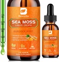 Tekoče kapljice Sea Moss - Organic Ireland Sea Moss Raw Gel z Burdock Root, Tumeric, Spirulina, Seaweed Moss Gel dodatek za Gut Health & Antioksidant Podpora - 2 Fl Oz