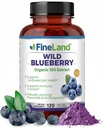FineLand Wild Blueberry 10:1 Extract, 6.000 mg Jakost, 120 Veganske kapsule, bogata z aromanoidi in antocianini, antioksidant podpora za zdravje možganov in srca, 4-mesečna oskrba, Non-GMO Made in USA